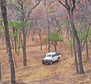 Driving through Helio Resource's SMP gold project in Tanzania.