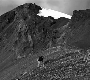 NovaGold Resources  The Copper Canyon project in northern B.C.