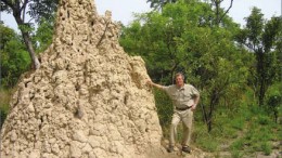 A termite mound dwarfs Merrex Gold president and CEO Greg Isenor at the Siribaya gold project in Mali. Photo by Merrex Gold