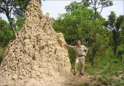 A termite mound dwarfs Merrex Gold president and CEO Greg Isenor at the Siribaya gold project in Mali. Photo by Merrex Gold