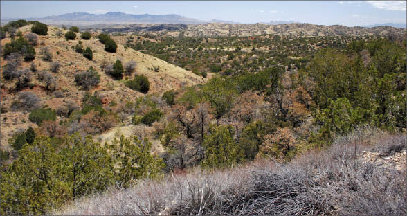 Augusta Resource's Rosemont copper-silver project in Arizona, one of Silver Wheaton's silver streams. Photo by Augusta Resource