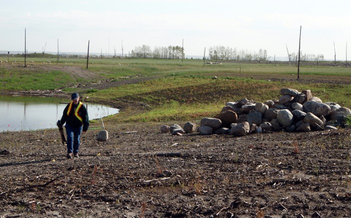 Oilsands reclamation at Suncor Energy 's Pond 1, near Fort McMurray, Alta. As Suncor's first tailings pond, Pond 1 was built in the late 1960s and in operation until it was decommissioned in 2006. The plan is to ultimately transform the 220-hectare Pond 1 into mixed wood forest and a small wetland capable of supporting a variety of plants and wildlife. Photo by Alberta Environment