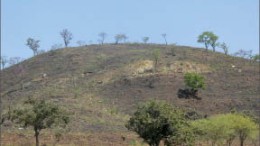 Roxgold's Yaramoko gold project in Burkina Faso. Photo by Roxgold