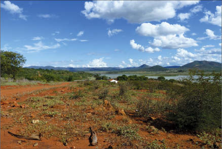 Largo Resources' Maracas vanadium property in Brazil, 800 km northeast of the capital Brasilia. Photo by Largo Resources