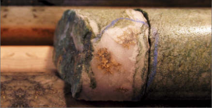 Core drilled from St Andrew Goldfields' Taylor gold project near Timmins, Ont. Photo by St Andrew Goldfields