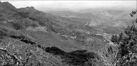 Goldgroup Mining's Caballo Blanco gold project, 65 km northwest of Veracruz, Mexico. Goldgroup Mining