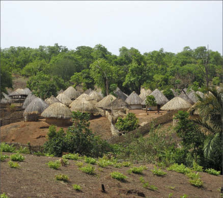 A camp at Merrex Gold's Siribaya gold project in western Mali. Photo by Merrex Gold