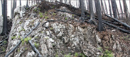 The Ted vein outcropping at Independence Gold's 3Ts gold-silver project in central British Columbia. Photo by Independence Gold