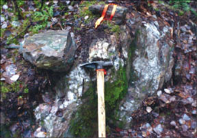 A showing of fuchsite and carbonate-altered mafic to ultramafic volcanic rocks, recrystallized cherty iron formation and quartz veins at Benton Resources' Sewell gold project near Timmins, Ontario. Photo by Benton Resources