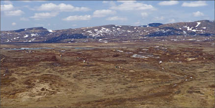 Drill rigs on the surface of the Pebble copper-gold deposit in southwest Alaska. Photo by Northern Dynasty Minerals