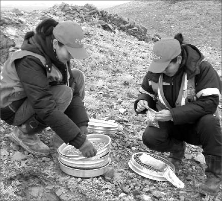 Mongolian geologists preparing soil samples for geochemistry analysis at Kincora Copper's Bronze Fox copper-gold project in Mongolia. Photo by Kincora Copper
