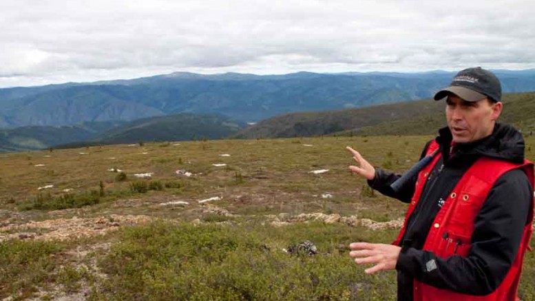 Kaminak Gold's vice-president of exploration Tim Smith at the Coffee gold project in the Yukon's White Gold district. Photo by Ian Bickis