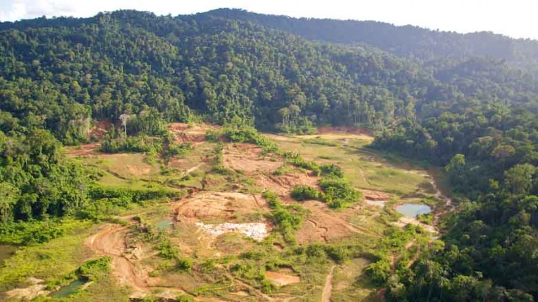 Gold workings at Columbus Gold's Paul Isnard gold project in French Guiana. Photo by Columbus Gold