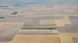 An aerial view of drought-affected farms, 130 km east of Denver, Colo. Green areas are irrigated, the yellow areas are dryland wheat crops. Photo by Lance Cheung/USDA