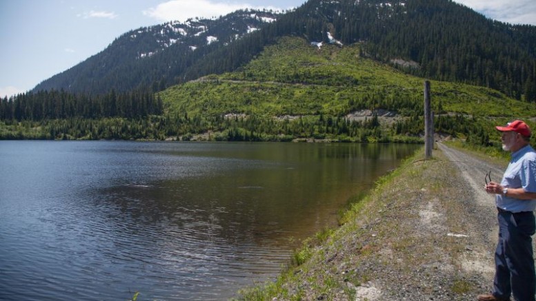 New Carolin Gold CEO Bruce Downing looks over a tailings pond at the Carolin gold project in BC. Photo by Ian Bickis