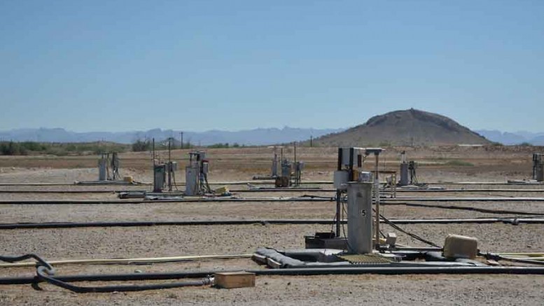 The in-situ copper recovery well field at Curis Resources' Florence copper project in Arizona. Photo by Curis Resources