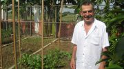 Former Bre-X Minerals vice-chairman John Felderhof in his backyard vegetable garden in the Philippines. Photo by Trish Saywell.