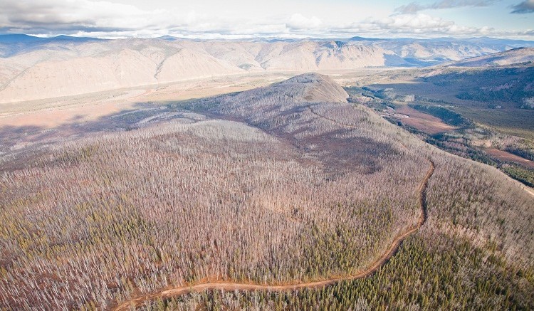 An aerial view of the road connecting Kaminak Gold's camp to the main drill sites at the Coffee gold project in the Yukon's White Gold district. Source: Kaminak Gold