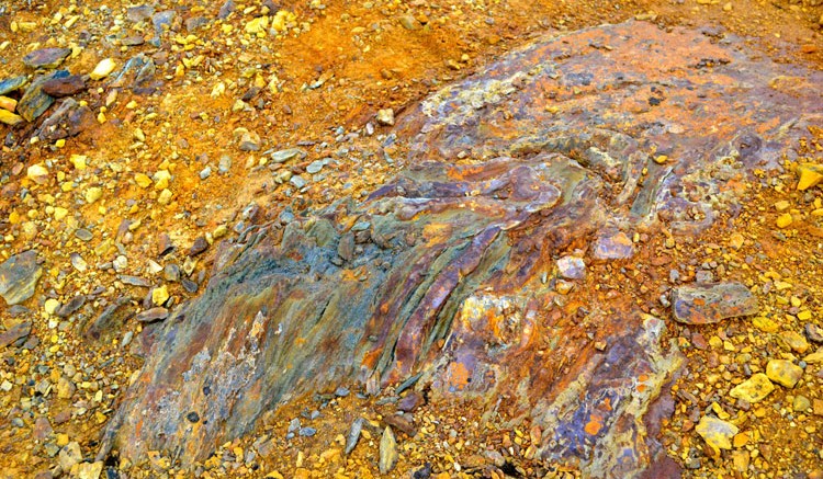 A weathered mineralized iron formation from North Country Gold's Committee Bay project. Source: North Country Gold