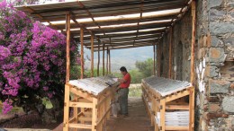 A worker studies drill core at Fortuna's San Jose mine in Mexico. Source: Fortuna Silver