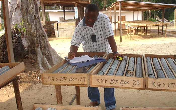 A man studies drill core at Aureus Mining's New Liberty project in Liberia. Source: Aureus Mining