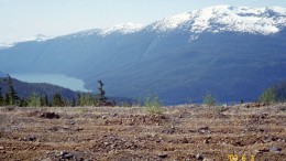 Avanti Mining's Kitsault molybdenum project in British Columbia. Source: Avanti Mining