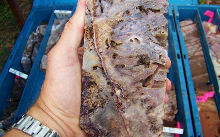 A core sample from a brecciated quartz vein hosting oxide mineralization at Akarca's gold-silver project in western Turkey. Source: Eurasian Minerals