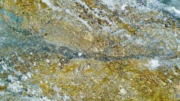 A rock sample showing visible gold at Continental Resources' Buritica project in Colombia. Source: Continental Resources