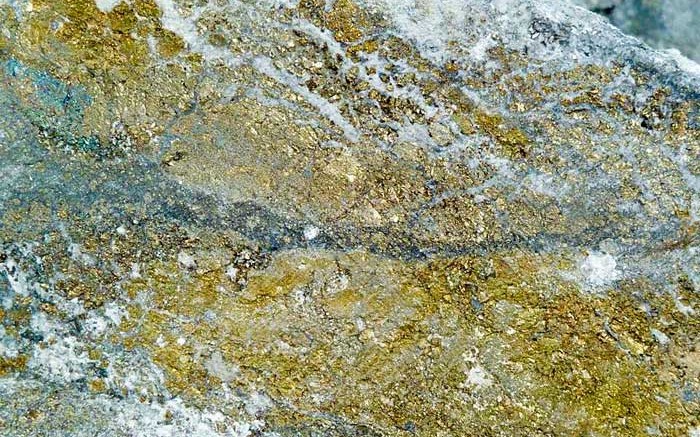 A rock sample showing visible gold at Continental Resources' Buritica project in Colombia. Source: Continental Resources