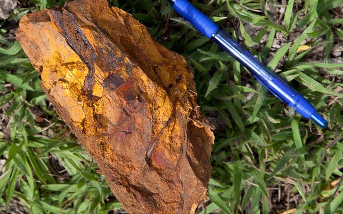 A rock sample at Red Eagle Mining's Santa Rosa project. Photo by Ian Bickis.