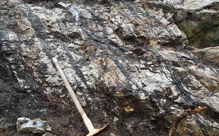 Multiple gold bearing quartz-tourmaline-pyrite veins in trondhjemite at the Marathon's 100%-owned Valentine Lake property. Credit: Marathon Gold