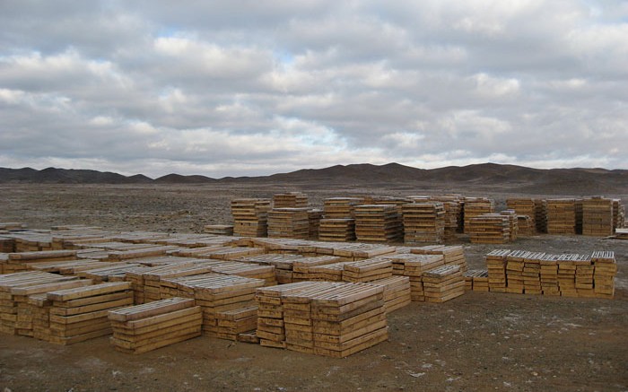 In Mongolia, core stacked at Kincora Copper's Bronze Fox copper project, which is still in good standing. Credit: Kincora Copper