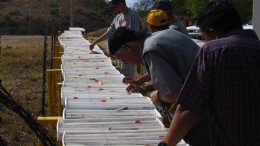 Core samples on display at Animas Resources' Santa Gertrudis gold project in Sonora, Mexico. Credit: Animas Resources