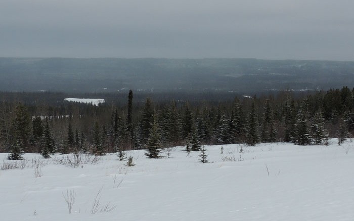 Coalspur Mines' Vista coal project near Hinton, Alberta. Credit: Coalspur Mines