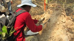 A Cambodian geologist collects a sample from a termite mound at the Phum Syarung gold property in Cambodia, where Angkor Gold holds a net smelter return royalty after selling the project to Mesco Gold. Credit: Angkor Gold