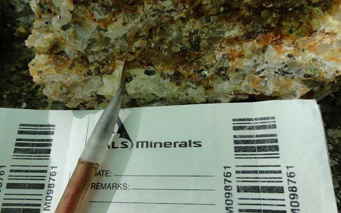 An 8 mm graphite flake in host material is shown in this sample from Lomiko Metals' Quatre Milles graphite project in Quebec, 175 km northwest of Montreal. Credit: Lomiko Metals