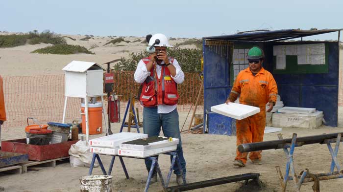 Senior project geologist Hector Canales Lancho (left) inspects core at Focus Ventures' Bayovar 12 phosphate project in northern Peru. Credit: Focus Ventures