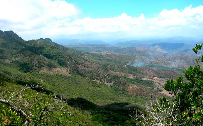 The Caballo Blanco gold project, 65 km northwest of Veracruz, Mexico. Credit: Goldgroup Mining.