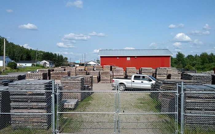 Core racks at Probe Mines Borden gold project in Ontario. Credit: Probe Mines