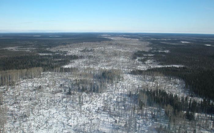 An aerial view of a glacial esker staked by KWG Resources for a railway corridor into the Ring of Fire. Credit: KWG Resources