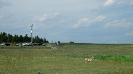 An antelope near a drill site at Azarga Uranium's Dewey Burdock uranium project in South Dakota. Credit: Azarga Uranium.