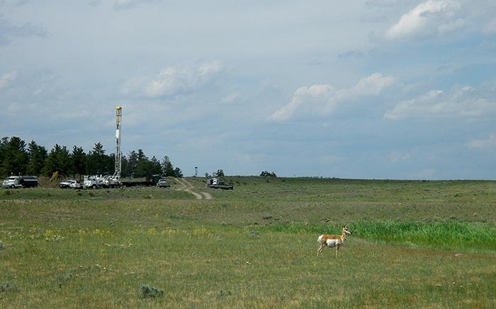 An antelope near a drill site at Azarga Uranium's Dewey Burdock uranium project in South Dakota. Credit: Azarga Uranium.