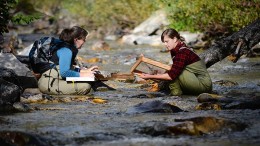 MWH Global environmental scientists Willow Campbell (left) and Erica Bishop conduct a macroinvertebrate survey at Midas Gold's Stibnite gold project in Idaho. Credit: Midas Gold