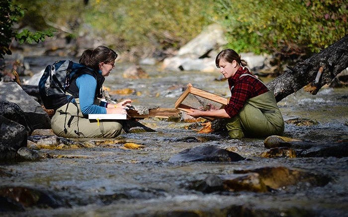 MWH Global environmental scientists Willow Campbell (left) and Erica Bishop conduct a macroinvertebrate survey at Midas Gold's Stibnite gold project in Idaho. Credit: Midas Gold