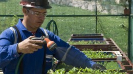 An employee waters plants at Endeavour Silver's tree nursery near its Bolaitos mine in Mexico. Credit:  Endeavour Silver