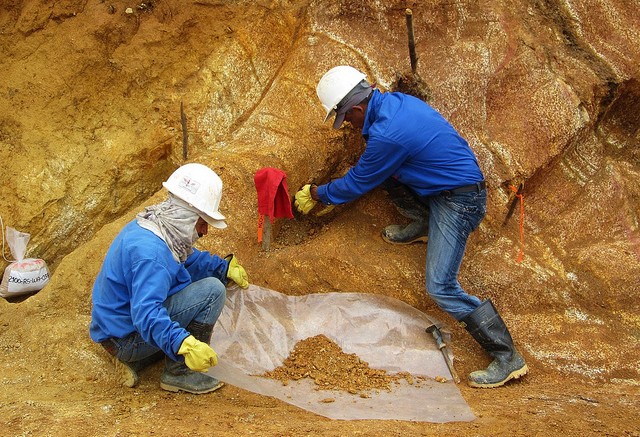 Channel sampling a stockwork outcrop at Red Eagle Mining's Santa Rosa gold project, 70 km north of Medellin, Colombia. Source: Red Eagle Mining