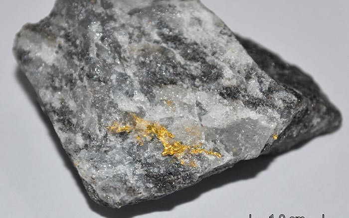 A sample with visible gold from Belo Sun Mining's Volta Grande gold project in Brazil. Source: Belo Sun Mining