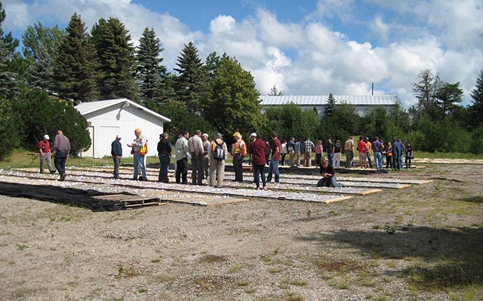 Visitors inspect core at Treasury Metals' field office at the Goliath gold project near Dryden, Ontario. Credit: Treasury Metals