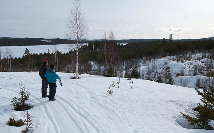 The central zone at Orex Minerals' Barsele gold-base metal project in Sweden, 600 km north of Stockholm. Photo by Ben Whiting.