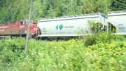 A Canpotex train hauling its custom-designed railcars west, near Taft, British Columbia. Photo by M. Nelson